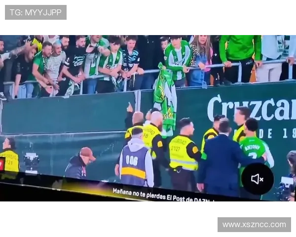 贝蒂斯在西甲表现稳健，迎来赛季关键胜利引发球迷热情高涨