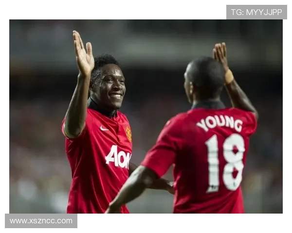 阿什利扬风格分析