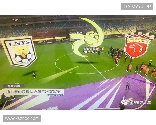 山东泰山阵容老化问题显现,球队能否在关键战保持稳定性面临考验 山东泰山阵容老化问题显现,球队能否在关键战保持稳定性面临考验